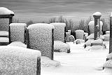 Winter Graveyard_32422